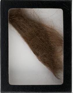 John Lennon Authentic Lock of Hair