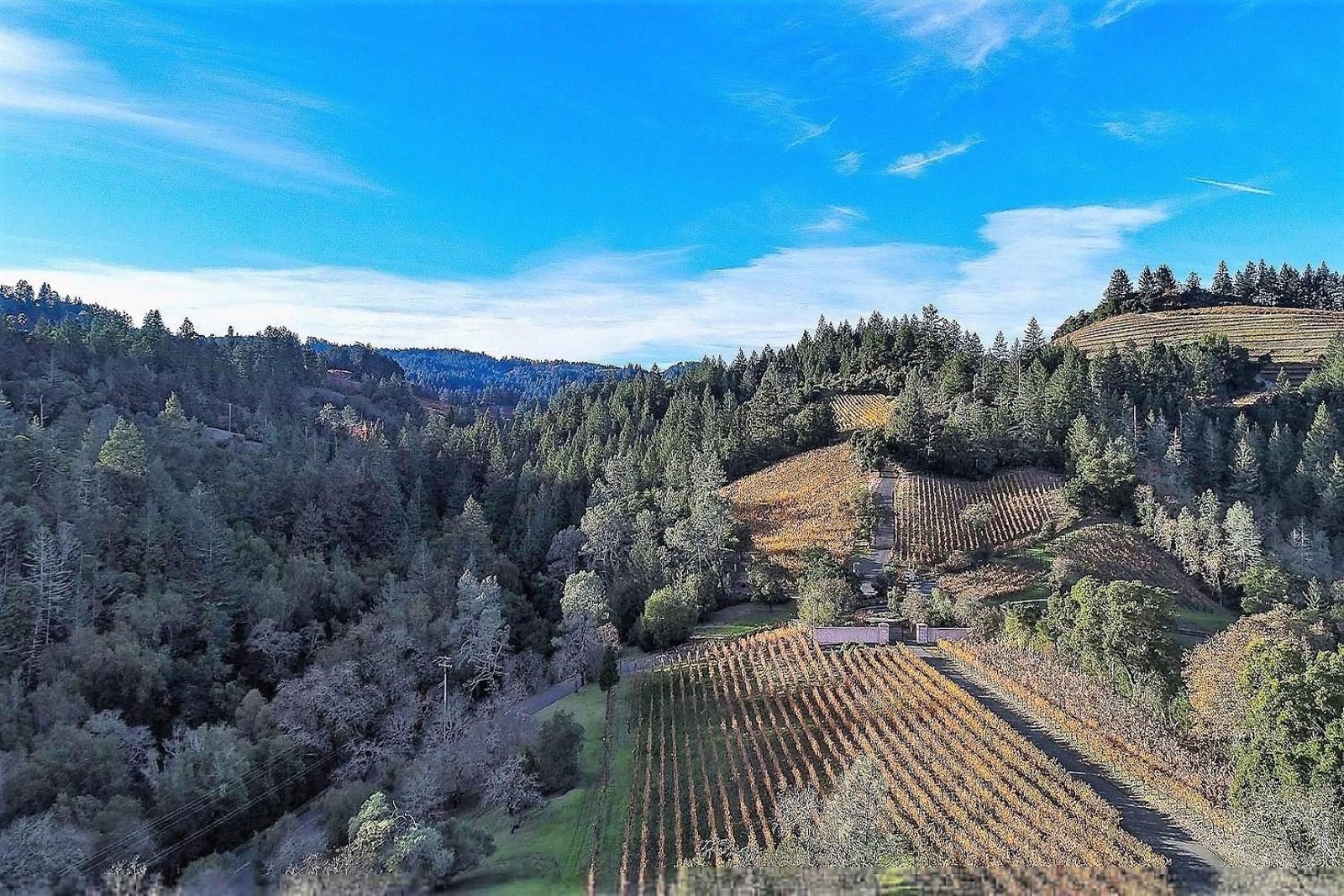 2910 Spring Mountain Road