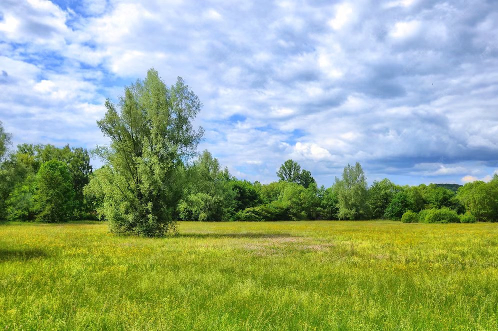Lands