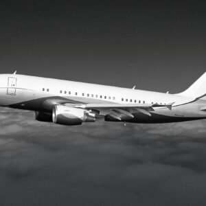 2008 Airbus A319 for sale, Monaco