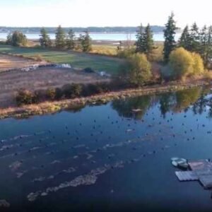 Sustainable Aquaculture Business